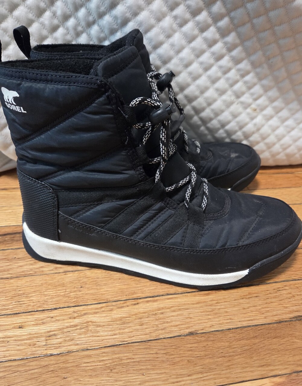Black Women Sorel Winter/rain Boots